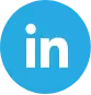 LinkedIn Page